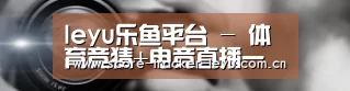 公司动态
